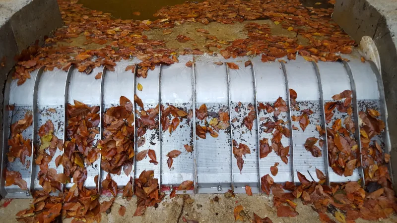 Water Filtering